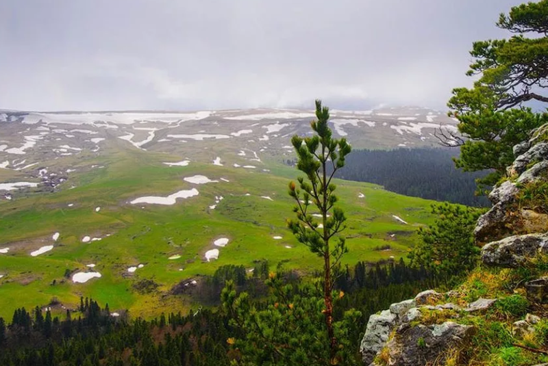 Плато Лагонаки Апшеронский район.